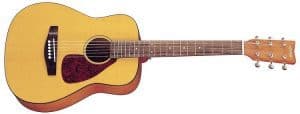 Acoustic Guitar